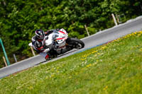 Brno;event-digital-images;motorbikes;no-limits;peter-wileman-photography;trackday;trackday-digital-images